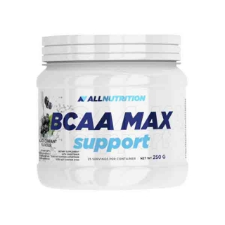 Аминокислоты AN BCAA Max Support 250гр